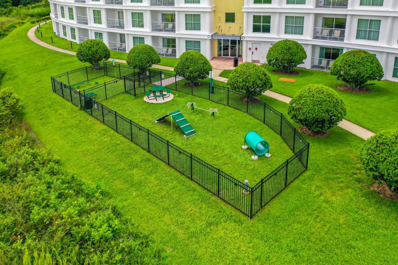 Pet Friendly In Orlando Area Near Disney Celebration Exterior photo